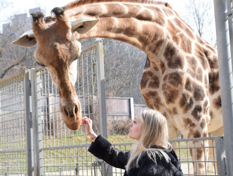 bratislavska-zoo-navstevnikom-pripomina,-ze-krmenie-zvierat-je-zakazane