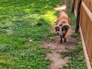 tip-na-vylet:-potulky-nad-racou