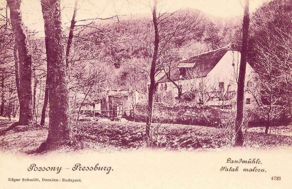 historia-uzemia-mestskych-lesov-–-mlyn-klepac