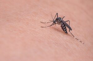 mesto-bratislava-vykonalo-prvy-preventivny-zasah-proti-liahniskam-komarov