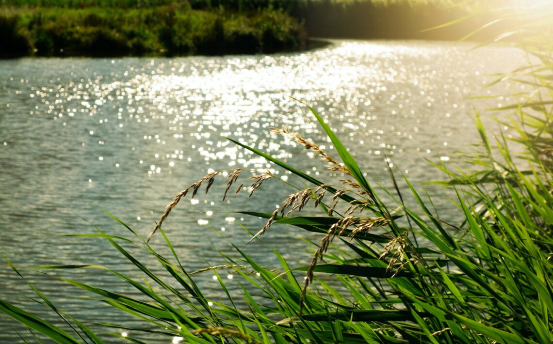 svetovy-den-vody