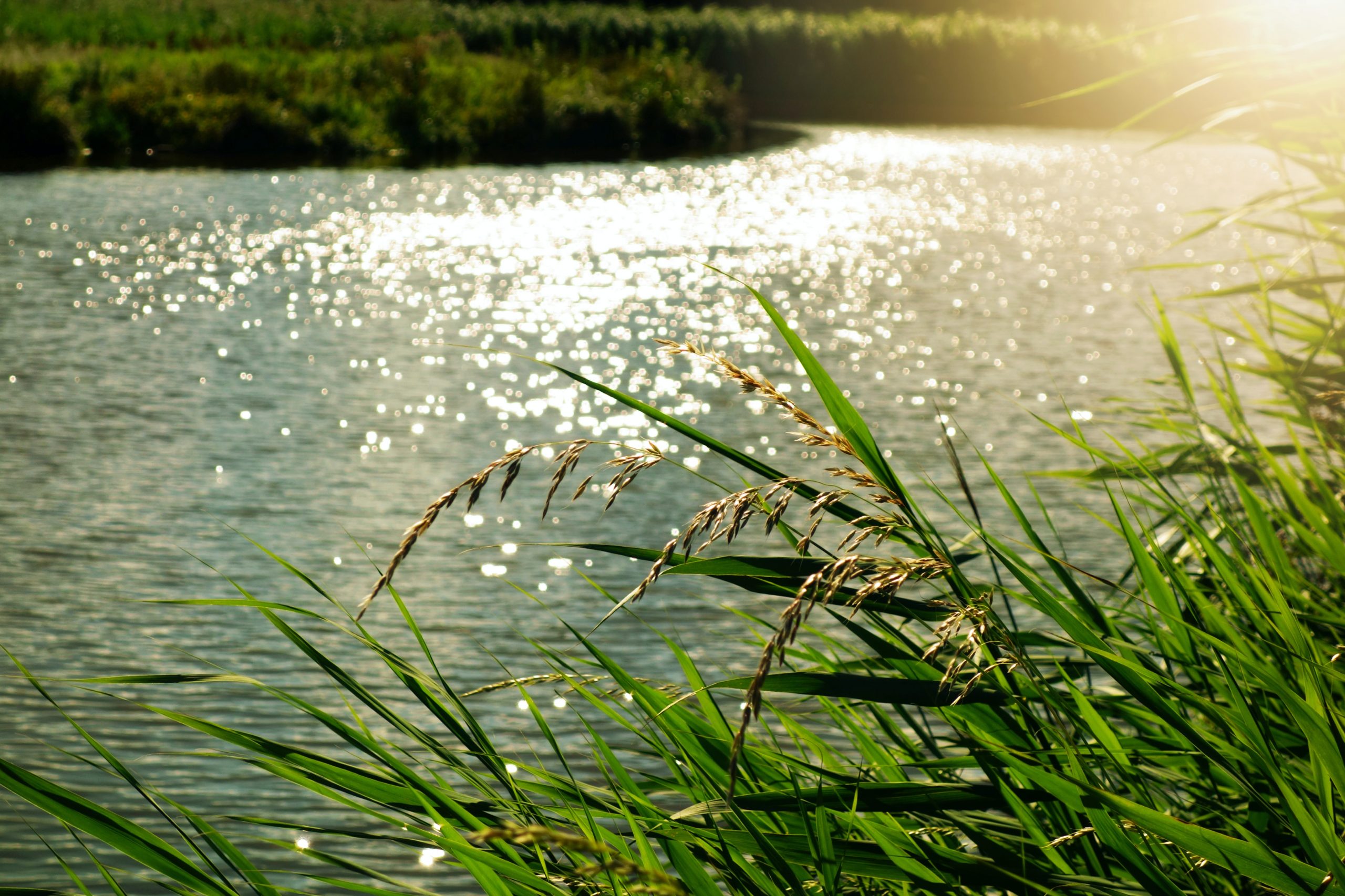 svetovy-den-vody