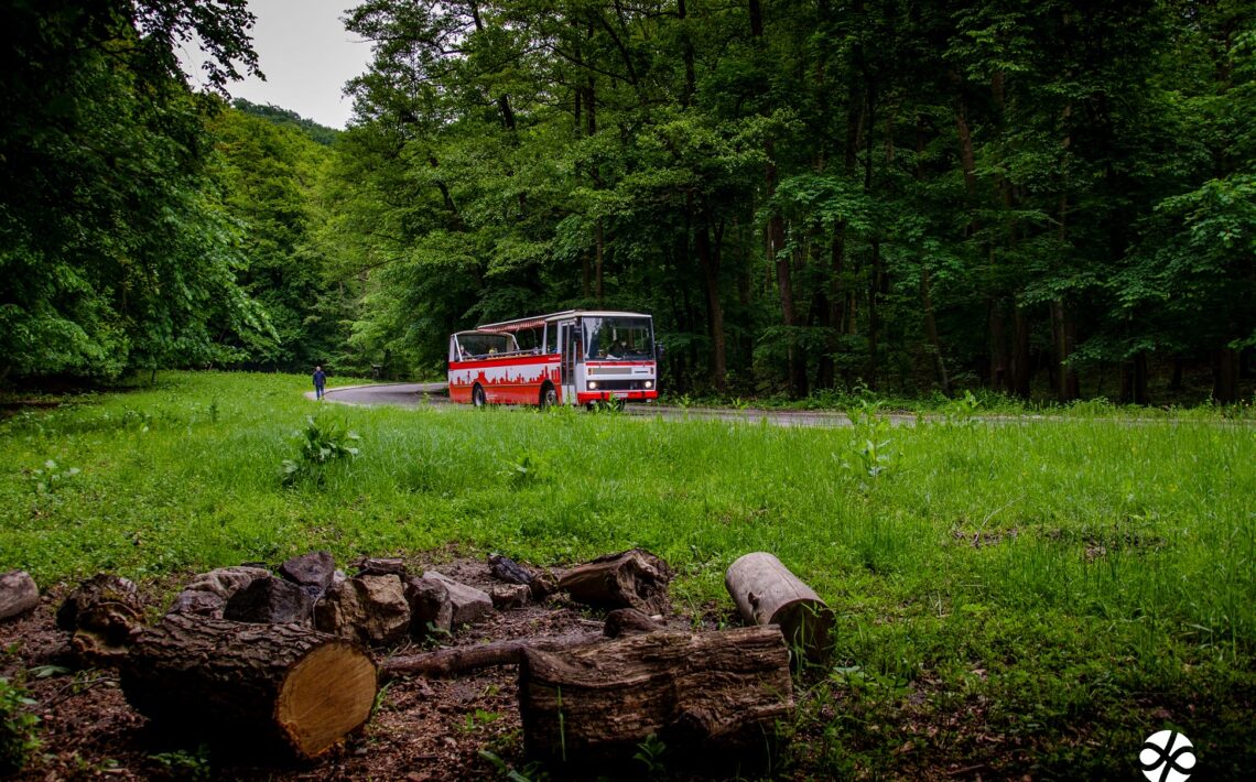 odvezte-sa-na-medzinarodny-den-deti-cabriobusom-do-lesoparku