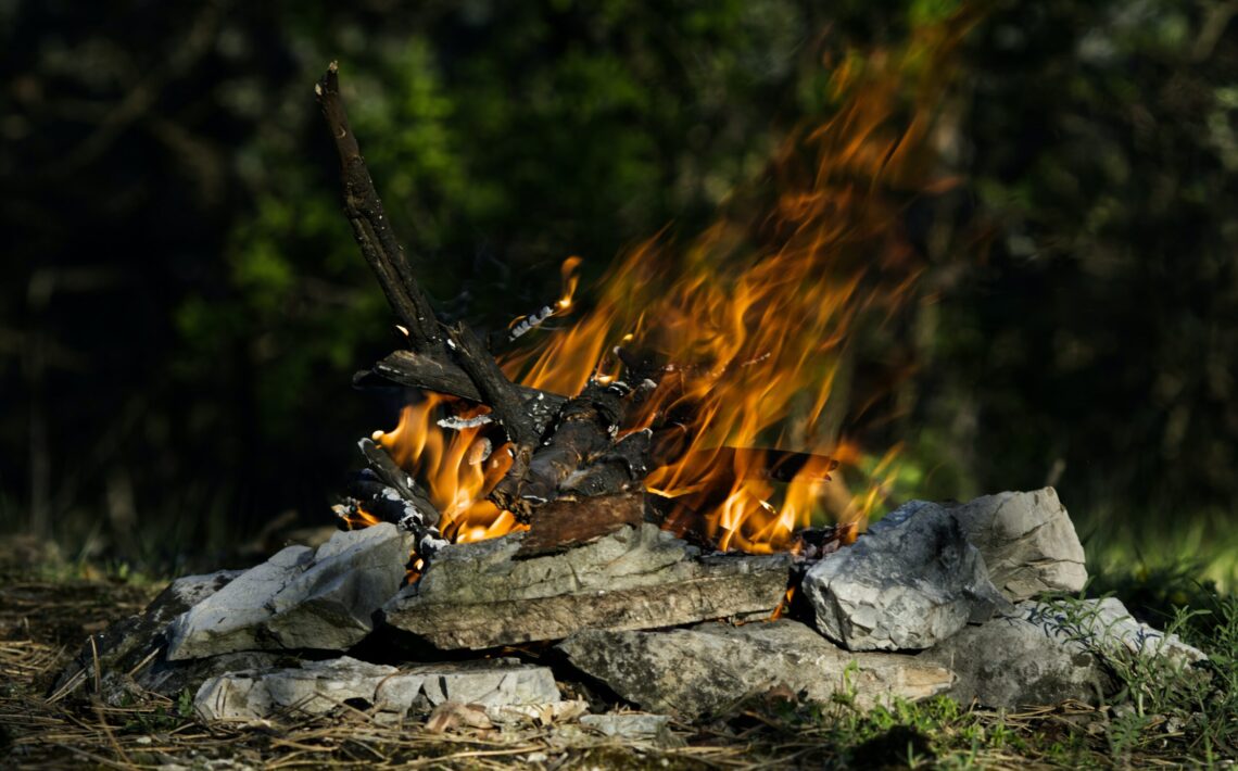 v-bratislavskych-lesoch-plati-pre-riziko-poziarov-zakaz-kladenia-ohnov