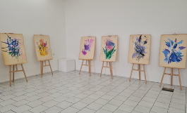 magia-farieb-–-vystava-prijimatelov-dss-kampino