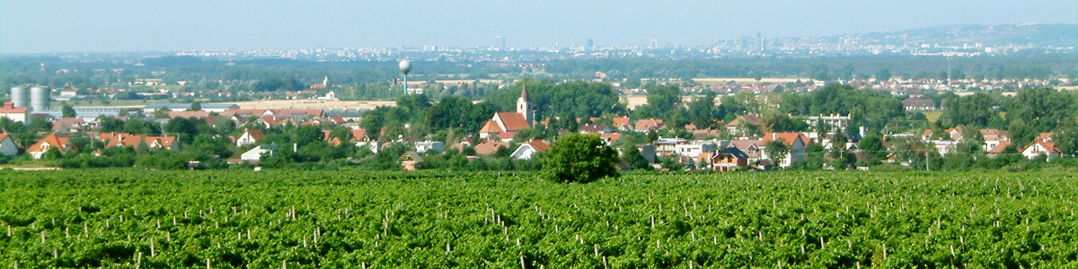 zupni-cestari-planuju-upravovat-krizovatku-vo-vinicnom