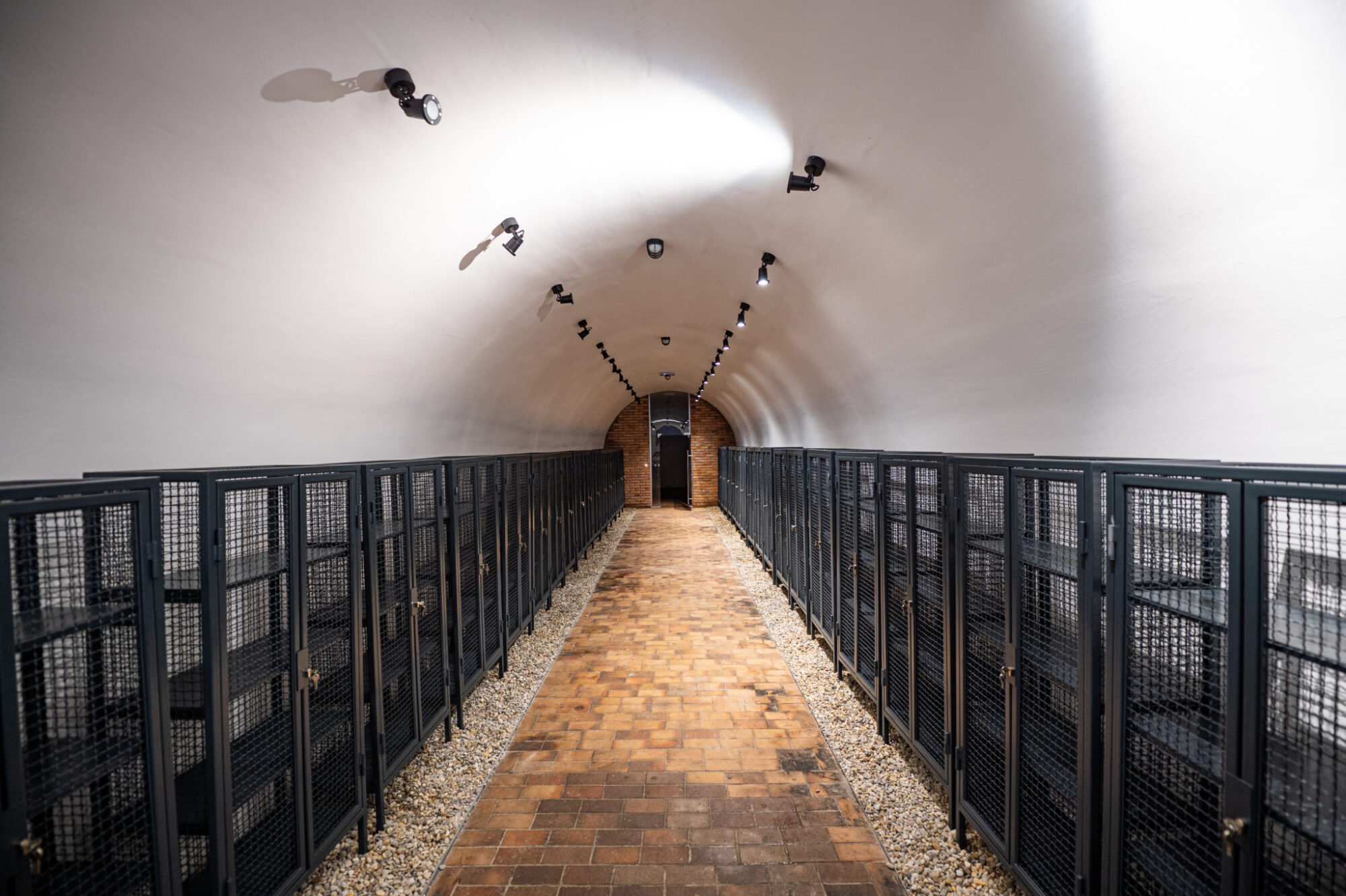 malokarpatsky-salon-vin-2025-– projekt,-ktory-spaja-vinarov,-kraj-a-tradiciu