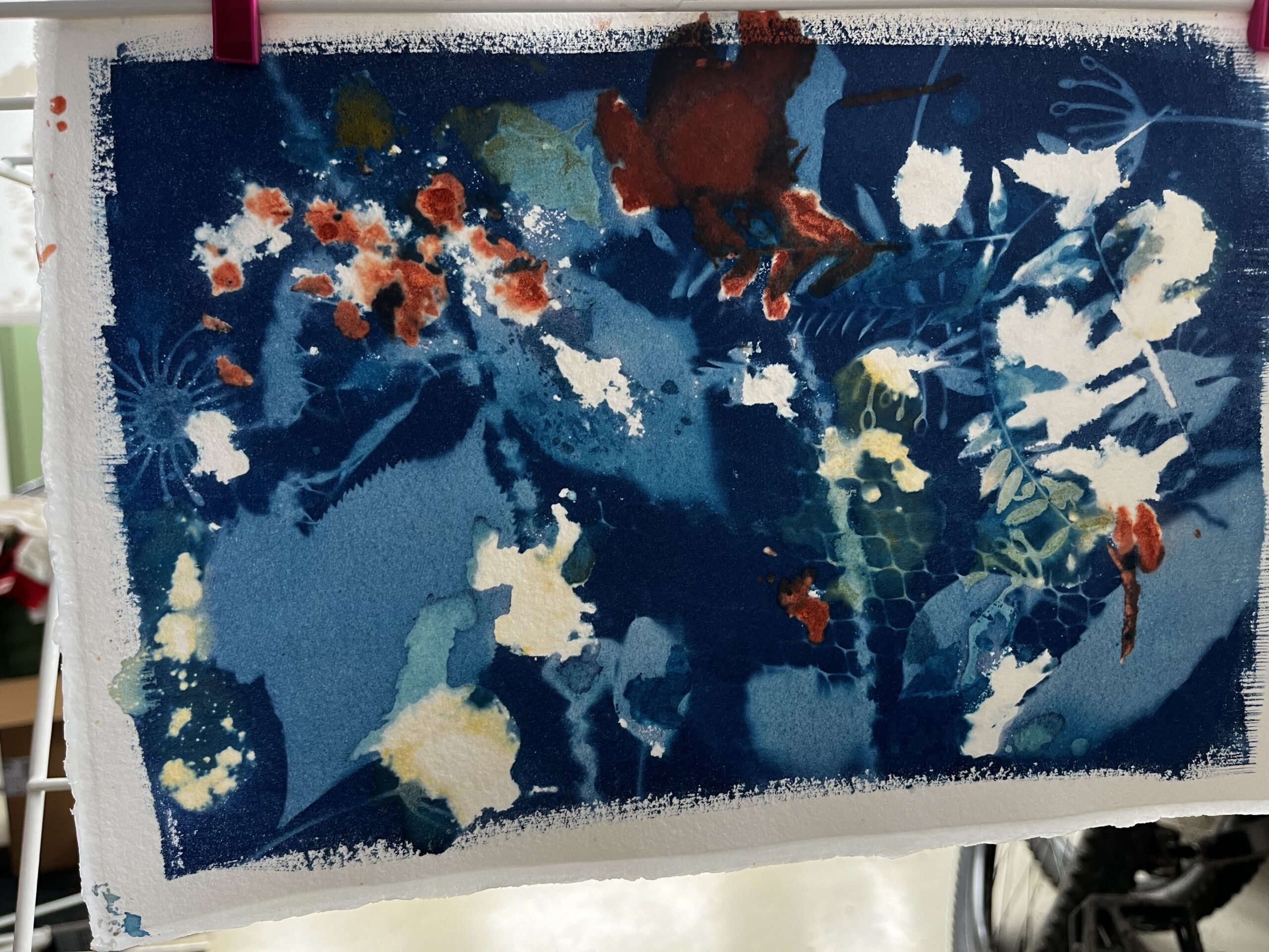 workshop-mokrej-kyanotypie-so-simonom-luptakom