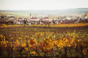 tento-tyzden-v-kastieli-modra-–-umenie,-vino-a-fantazia