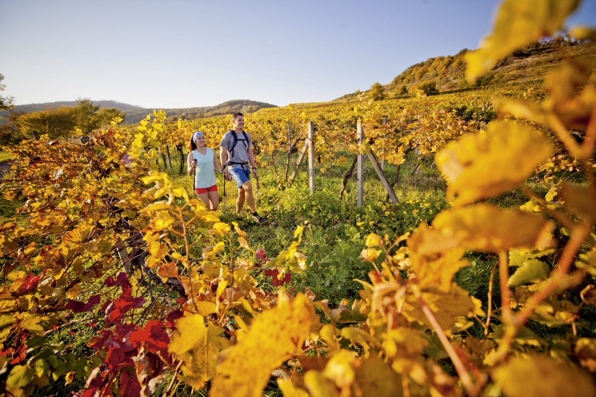 tip-na-vylet:-cesta-dr.-jozefa-ludovita-holubyho