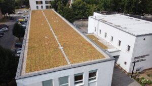 prva-pilotna-investicia-projektu-#greencities-je-dokoncena:-samorin-ma-zelenu-strechu-na-zakladnej-umeleckej-skole