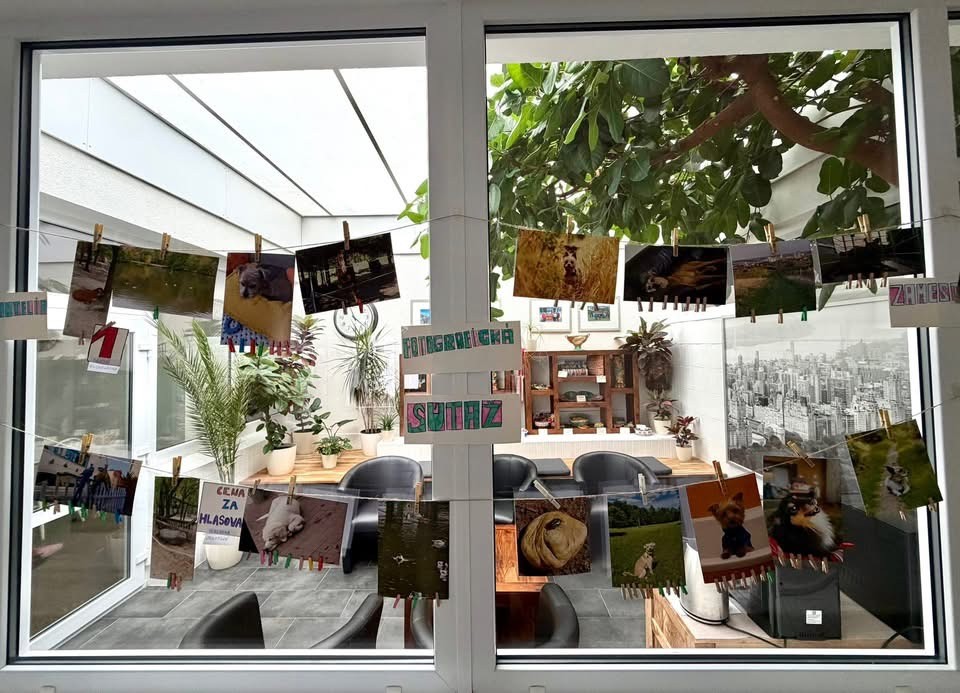 fotograficka-sutaz-v-css-javorinska-ukazala-krasu-zvieracej-rise-ocami-prijimatelov-aj-zamestnancov