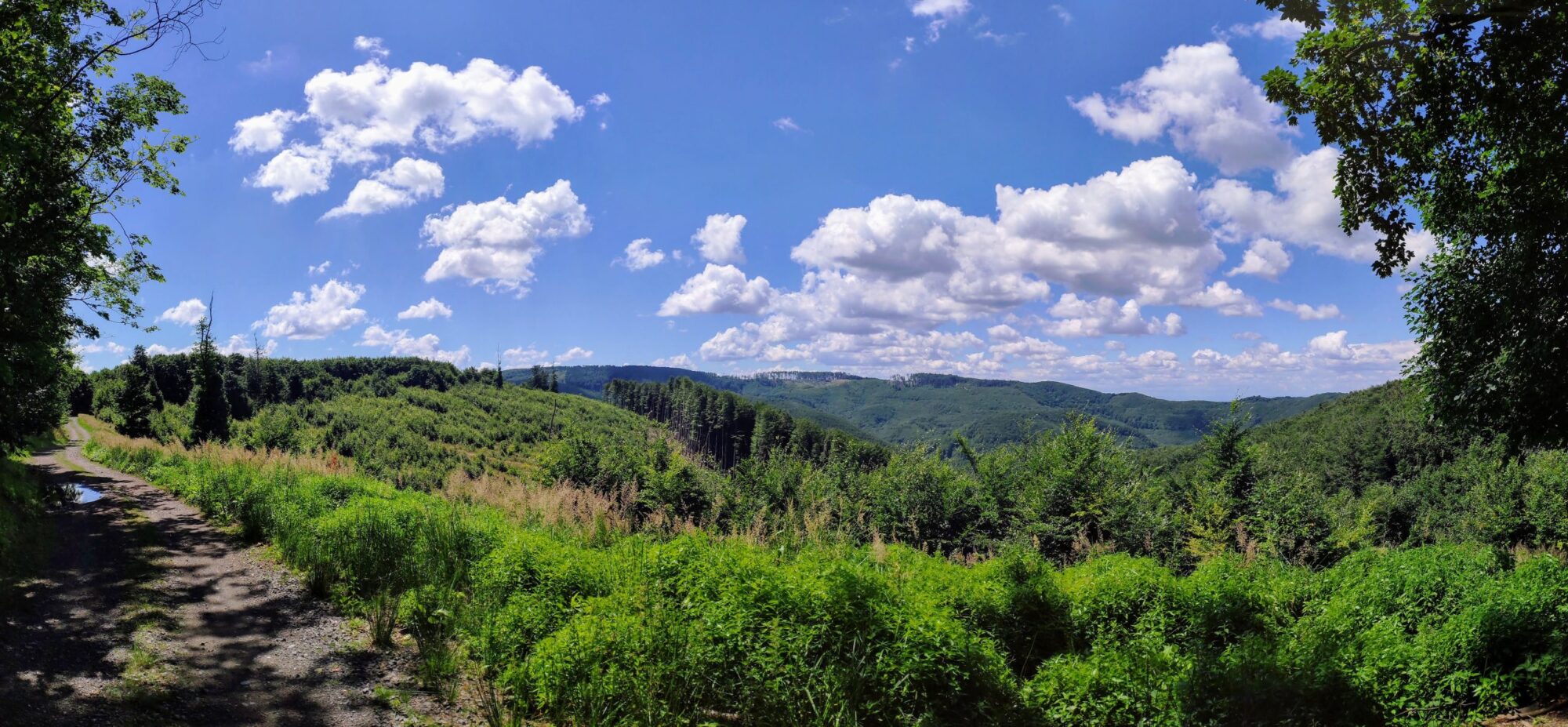 tip-na-vylet:-krasnymi lesmi-malych-karpat-z-pezinka-na-babu