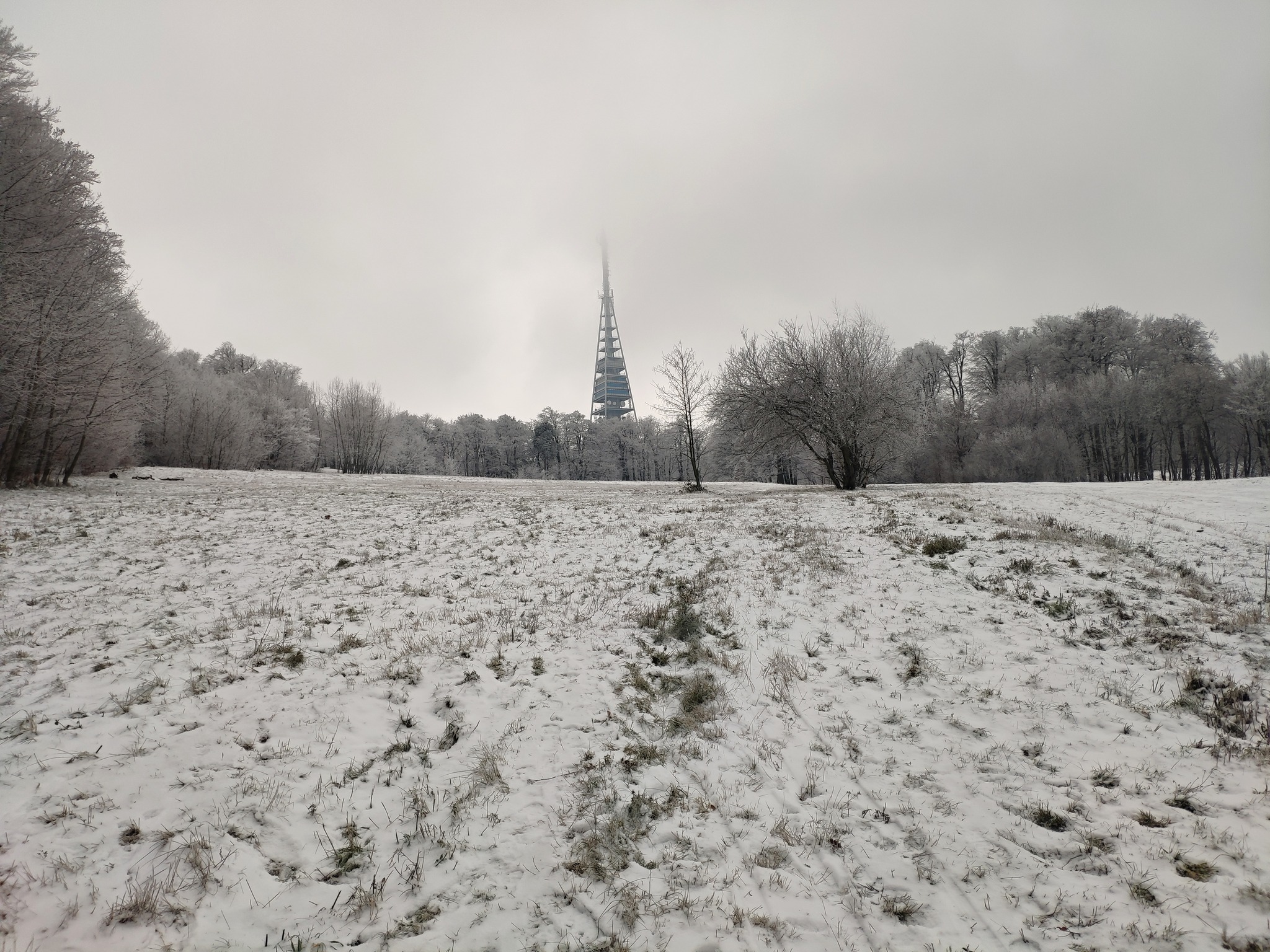 tip-na-prechadzku:-z race-na-kamzik-a k-figaru