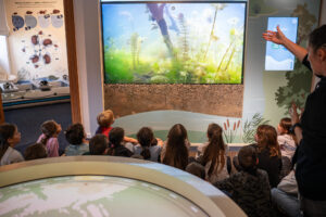 ekocentrum-cunovo-pozyva-do-sveta-pod-zamrznutou-hladinou-dunaja