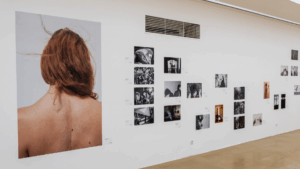 amfo-2026-v-bratislavskom-kraji:-fotografia-ako-priestor-pre-slobodu