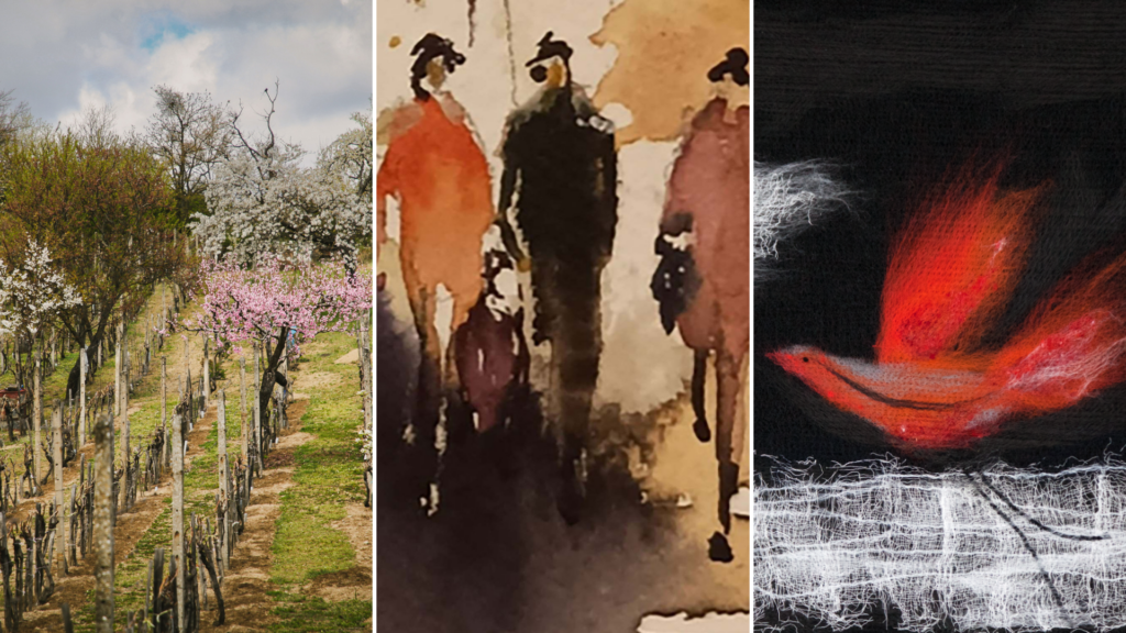 posledny-januarovy-tyzden-s-malokarpatskym-osvetovym-strediskom