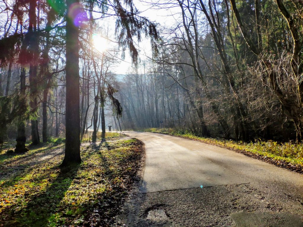 tip-na-vylet:-zimne-lesy-nad-metropolou