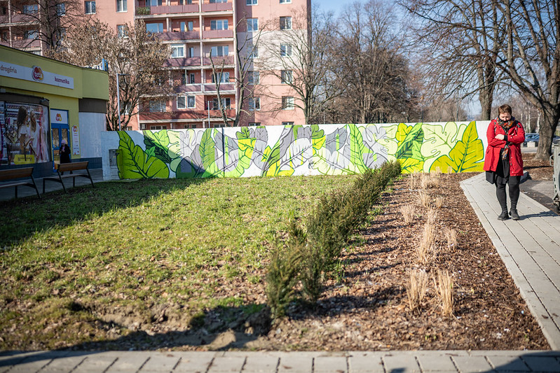 revitalizacia-priestoru-kozmos-v-ruzinove-priniesla-viac-zelene-aj-lepsie-hospodarenie-s-dazdovou-vodou