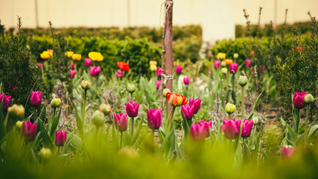 posledny-aprilovy-tyzden-v-kastieli:-keramika,-vino-aj-svet-vytvarneho-umenia