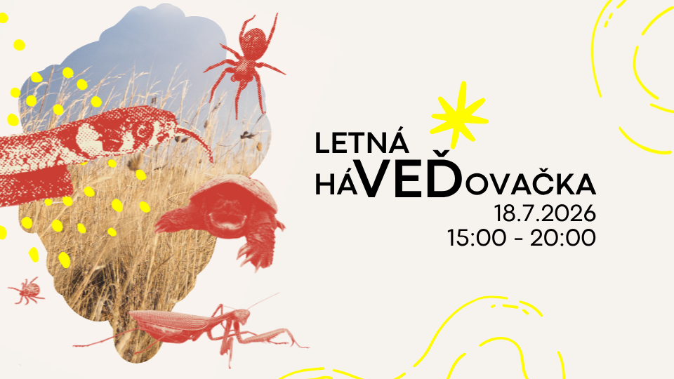 letna-havedovacka-v-ekocentre-cunovo