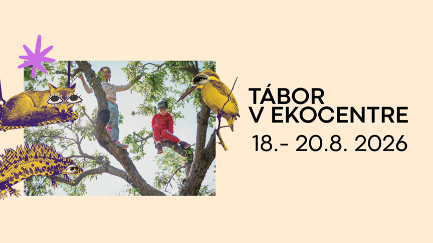 letny-tabor-v-ekocentre-cunovo:-stan-sa-objavitelom-dunajskej-prirody