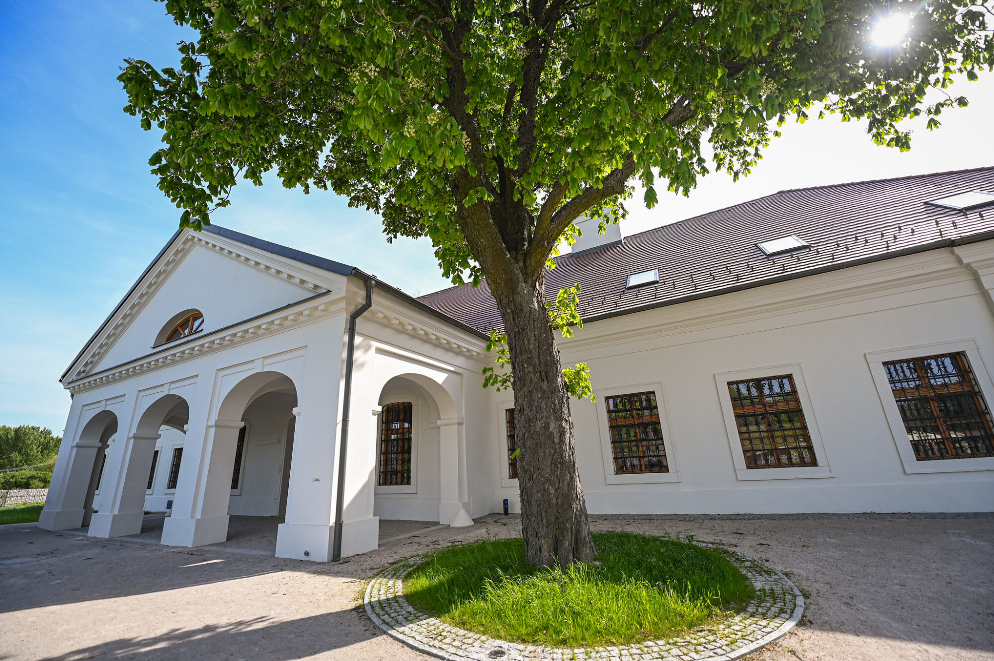 augustova-prespavacka-v-ekocentre-cunovo:-deti-spoznaju-svet-netopierov-a-pomozu-im-vytvorit-novy-domov