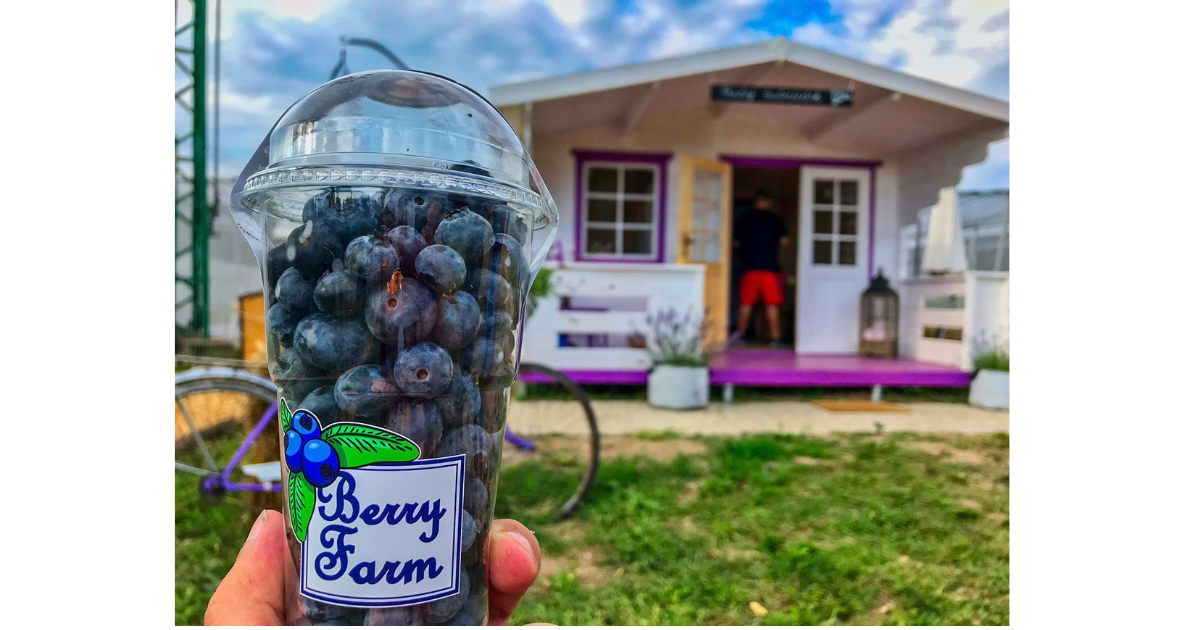 berry-farm:-cucoriedkova-farma,-ktora-spaja-pestovanie,-produkty-aj-zazitky